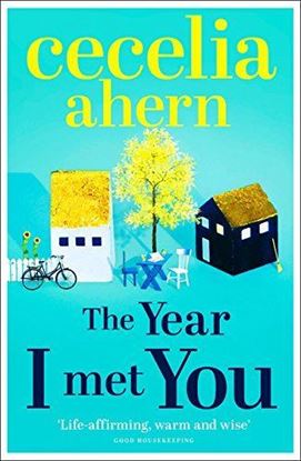 Picture of The Year I Met You by Cecelia Ahern  | 4 June 2015